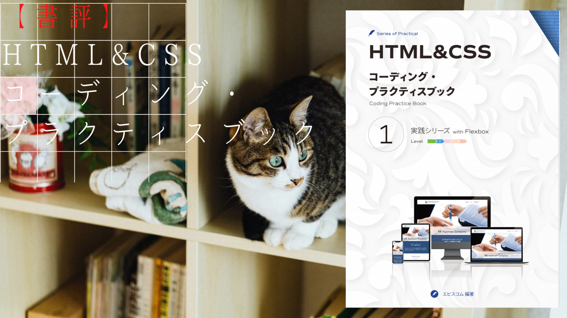 Web制作初心者 Html Css コーディング プラクティスブック 1から学んだこと 書評 ゆるふわなねこ