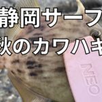 静岡サーフ 秋のカワハギ
